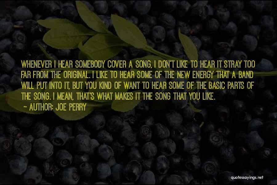 Joe Somebody Quotes By Joe Perry