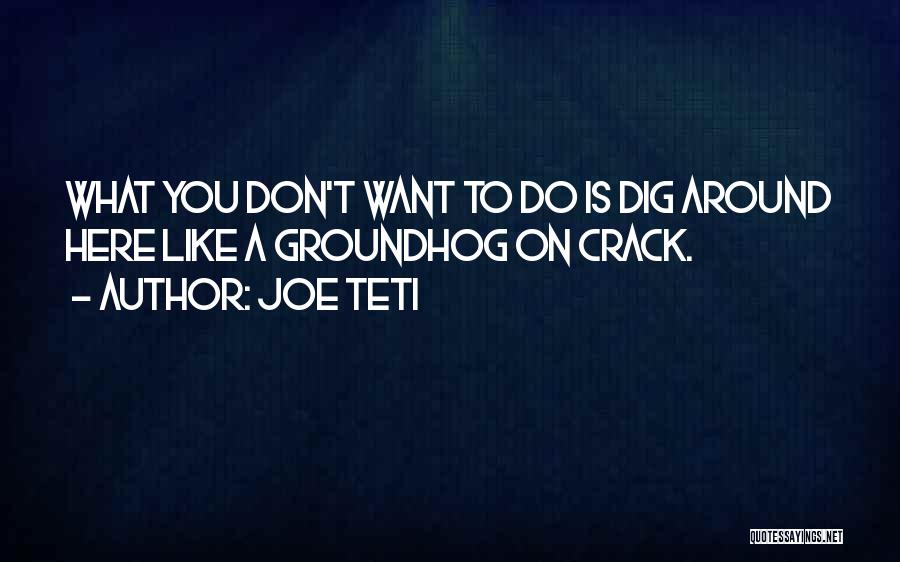 Joe Teti Quotes 1453840