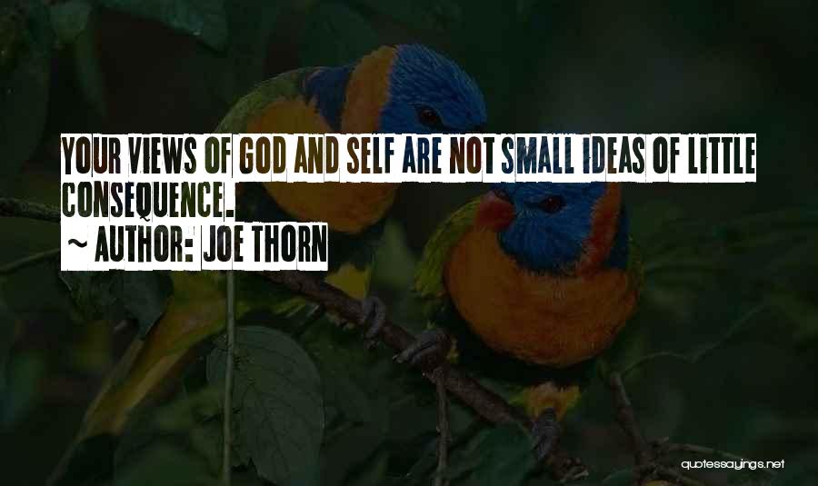 Joe Thorn Quotes 1385027