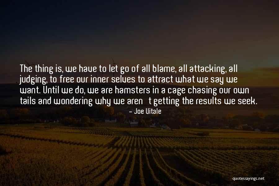 Joe Vitale Quotes 1160491 Joe Vitale Quotes 1160491