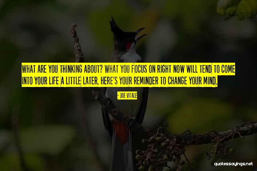 Joe Vitale Quotes 1345050 Joe Vitale Quotes 1345050
