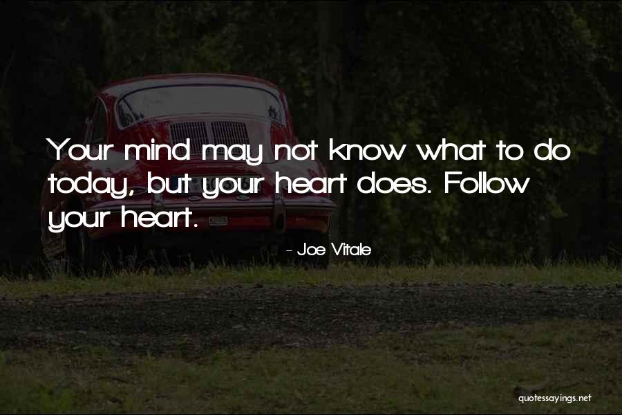 Joe Vitale Quotes 1508569