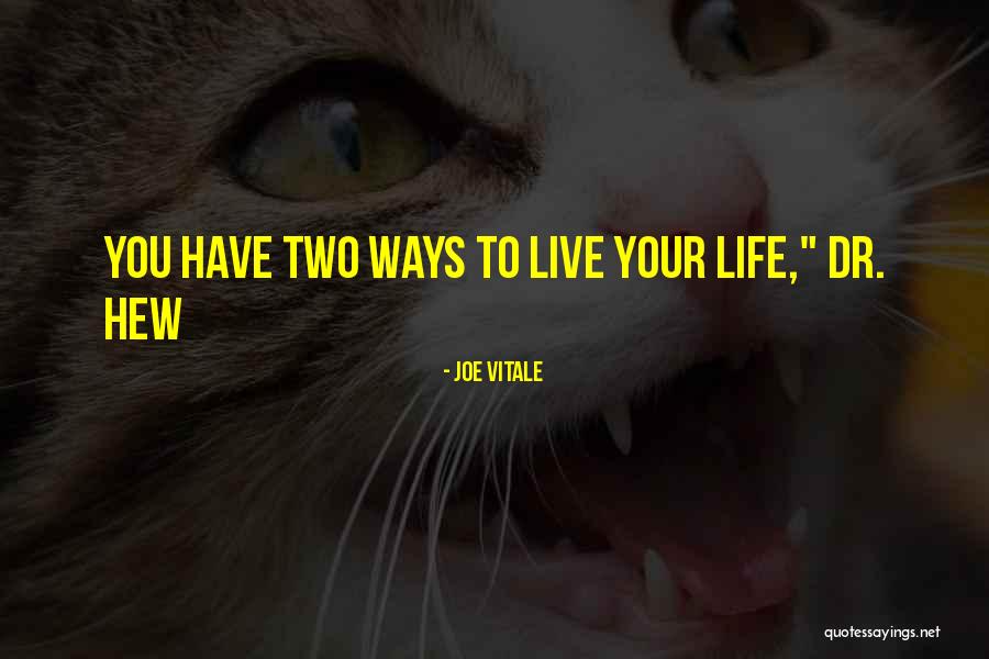 Joe Vitale Quotes 2071822 Joe Vitale Quotes 2071822