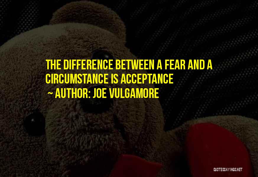 Joe Vulgamore Quotes 1924420