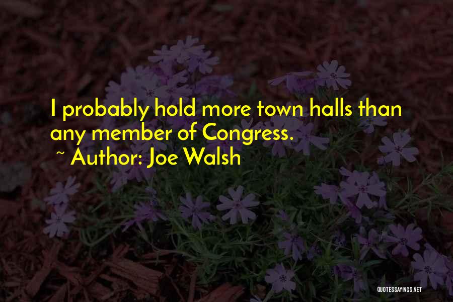 Joe Walsh Quotes 476673