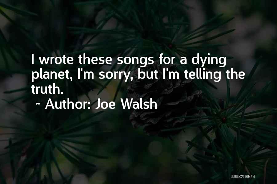 Joe Walsh Quotes 711068