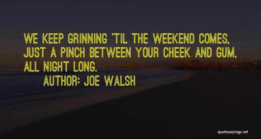 Joe Walsh Quotes 740749