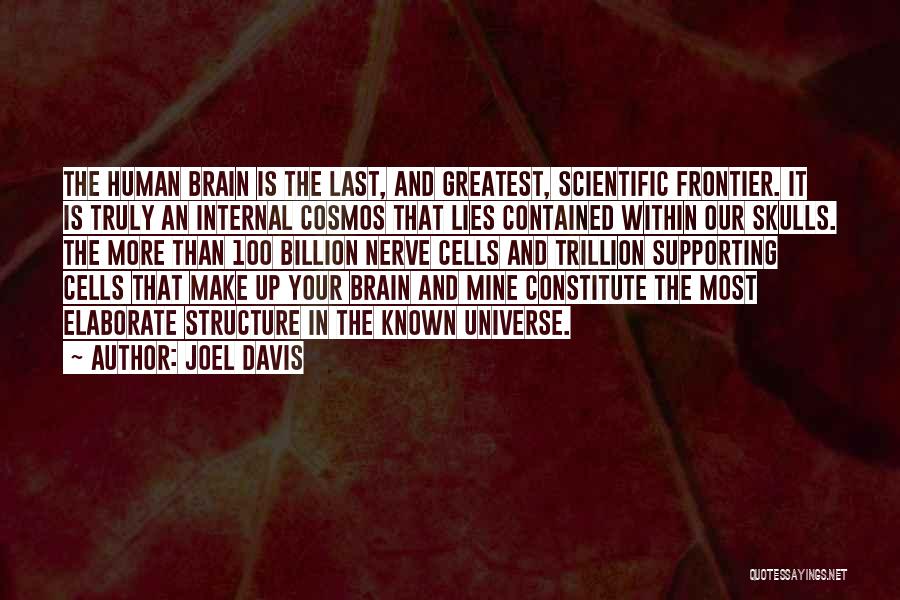 Joel Davis Quotes 696352