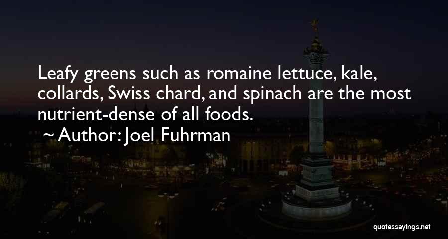 Joel Fuhrman Quotes 1254669
