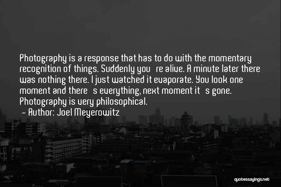 Joel Meyerowitz Photography Quotes By Joel Meyerowitz