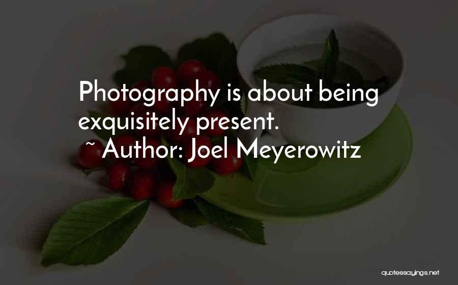 Joel Meyerowitz Photography Quotes By Joel Meyerowitz