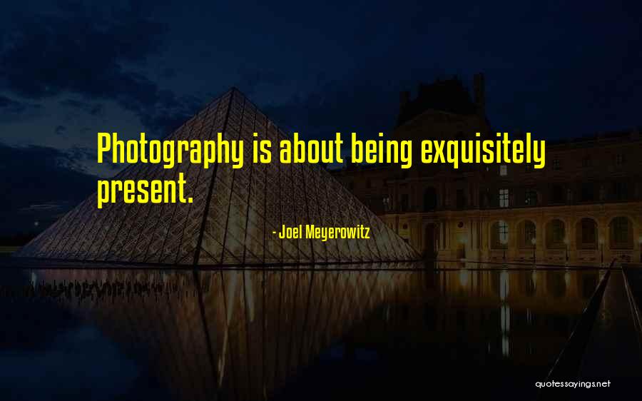 Joel Meyerowitz Quotes 94571