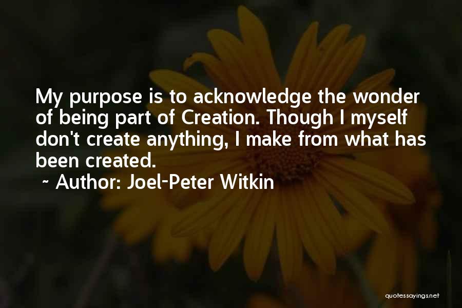 Joel-Peter Witkin Quotes 2094155