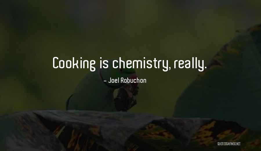 Joel Robuchon Quotes 2044378