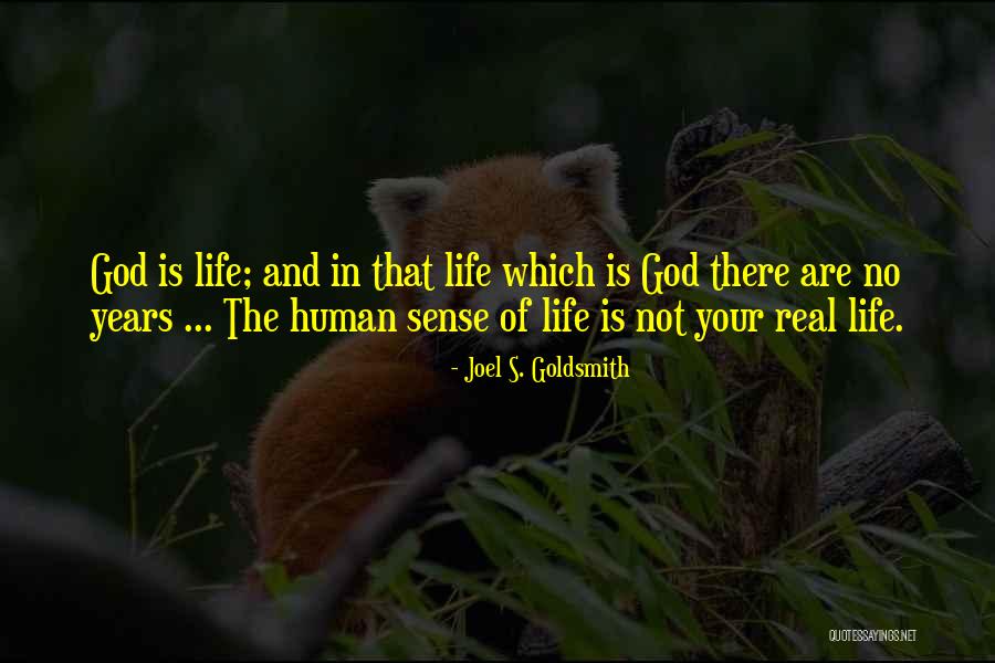 Joel S. Goldsmith Quotes 1388176 Joel S. Goldsmith Quotes 1388176