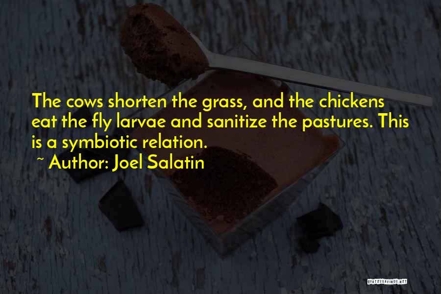 Joel Salatin Quotes 580650