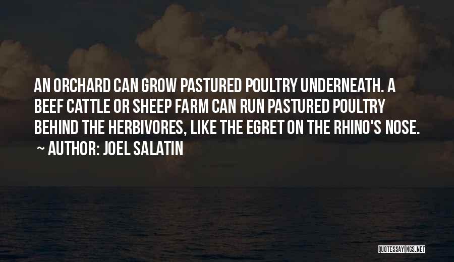 Joel Salatin Quotes 592883