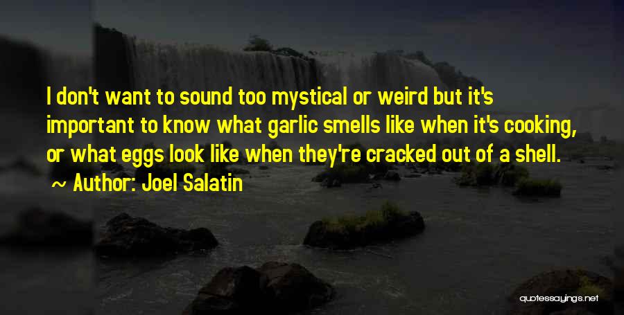 Joel Salatin Quotes 722818