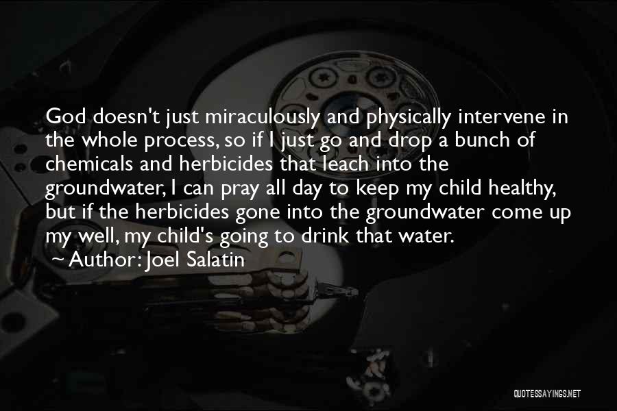 Joel Salatin Quotes 936889