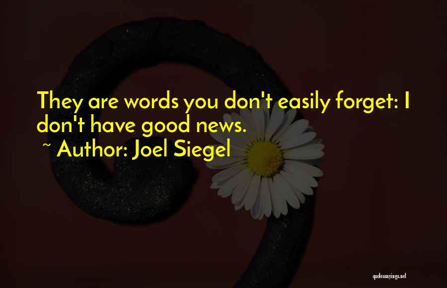 Joel Siegel Quotes 1609607