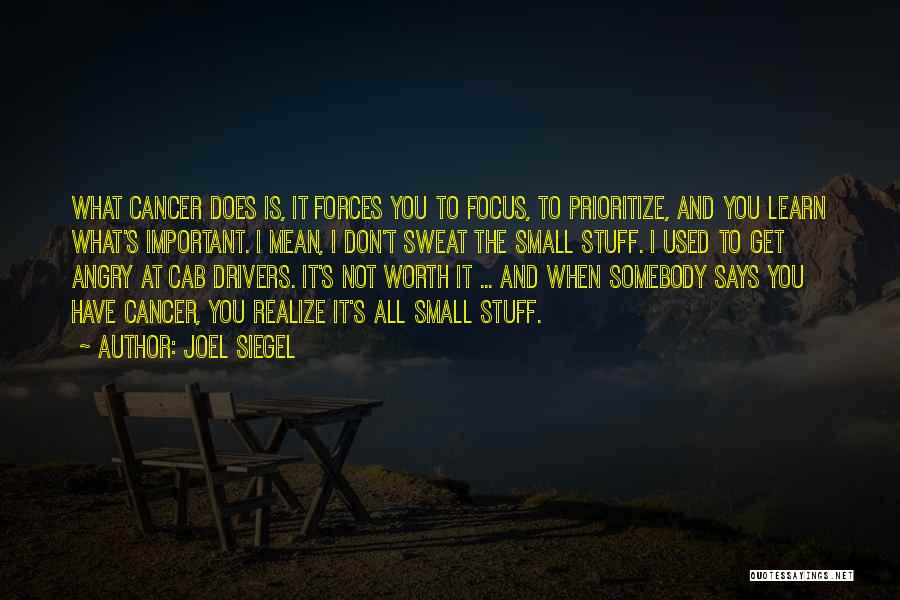 Joel Siegel Quotes 2177067