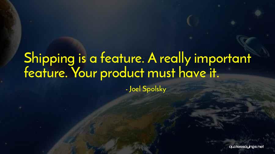 Joel Spolsky Quotes 243731