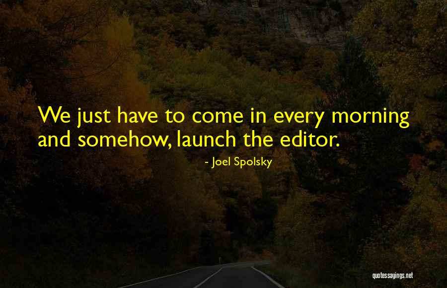 Joel Spolsky Quotes 690035