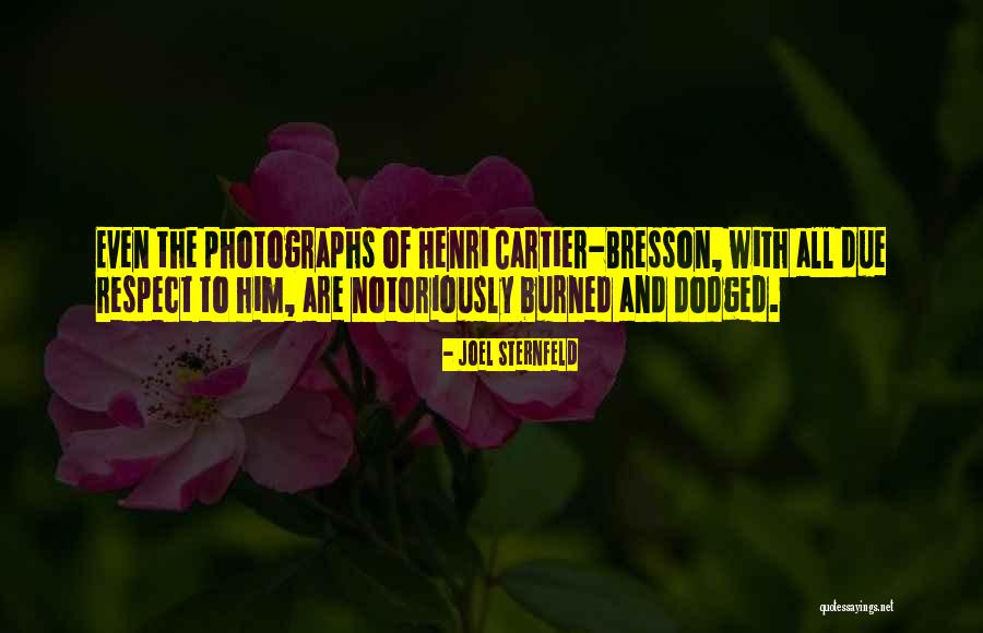Joel Sternfeld Quotes 1236616 Joel Sternfeld Quotes 1236616