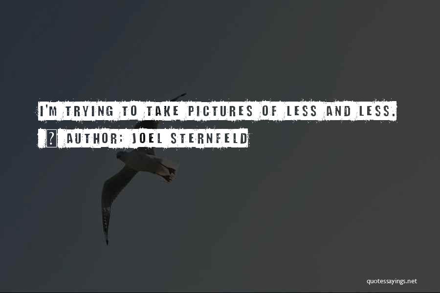 Joel Sternfeld Quotes 1532219