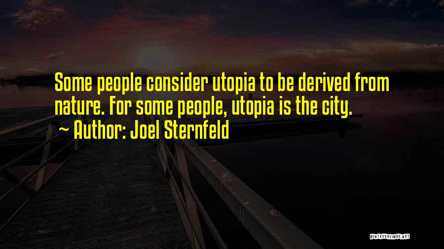 Joel Sternfeld Quotes 581684