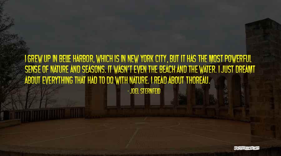 Joel Sternfeld Quotes 875640 Joel Sternfeld Quotes 875640