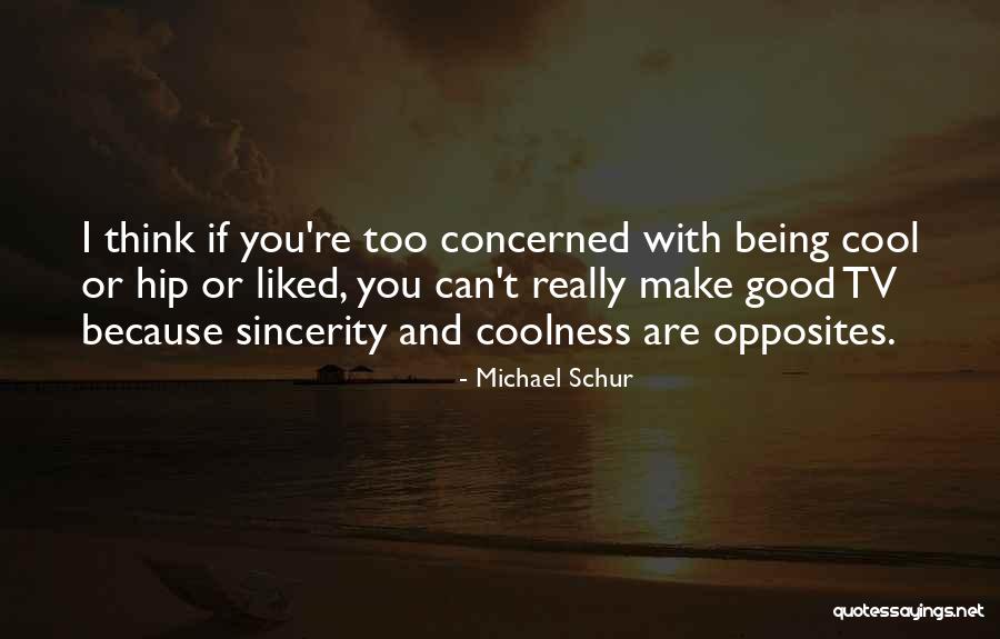 Joelly Owns This Quotes By Michael Schur Joelly Owns This Quotes By Michael Schur