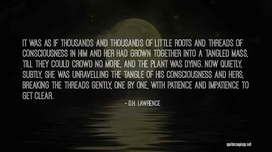 Joesimonmusicvideos Quotes By D.H. Lawrence Joesimonmusicvideos Quotes By D.H. Lawrence