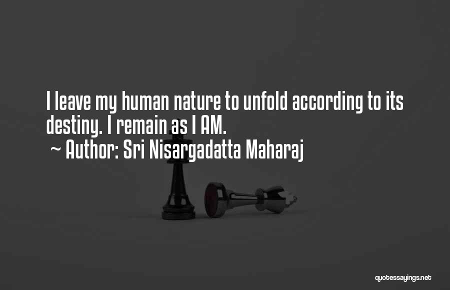 Joey Batson Quotes By Sri Nisargadatta Maharaj