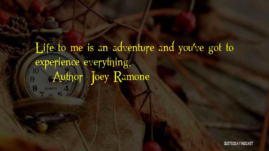 Joey Ramone Quotes 1406120