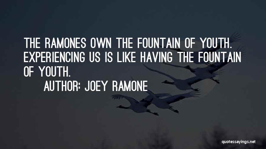 Joey Ramone Quotes 930537