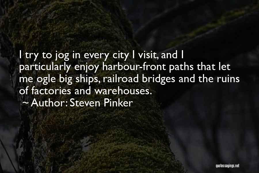 Jog Quotes By Steven Pinker