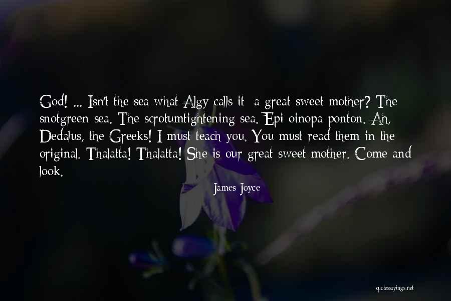 Joglekar Farms Quotes By James Joyce Joglekar Farms Quotes By James Joyce
