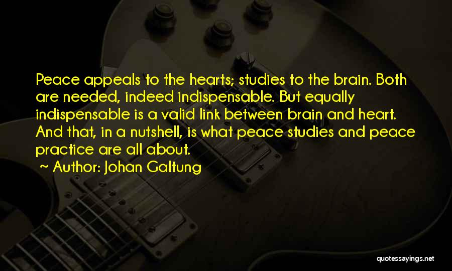 Johan Galtung Quotes 2211606