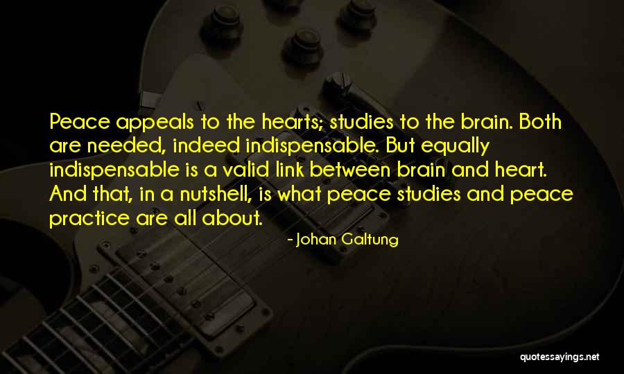 Johan Galtung Quotes 2211606