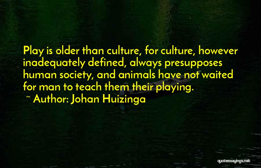 Johan Huizinga Quotes 227652