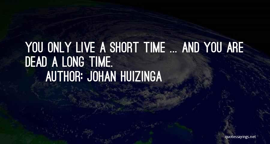 Johan Huizinga Quotes 717777