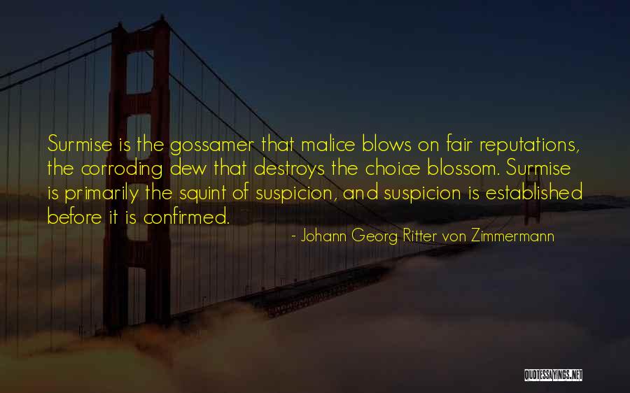 Johann Georg Ritter Von Zimmermann Quotes 1229764 Johann Georg Ritter Von Zimmermann Quotes 1229764