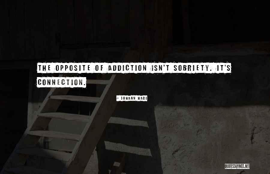 Johann Hari Quotes 1607749 Johann Hari Quotes 1607749