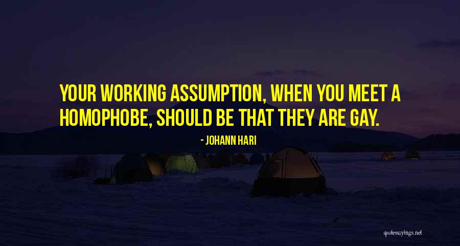 Johann Hari Quotes 644712