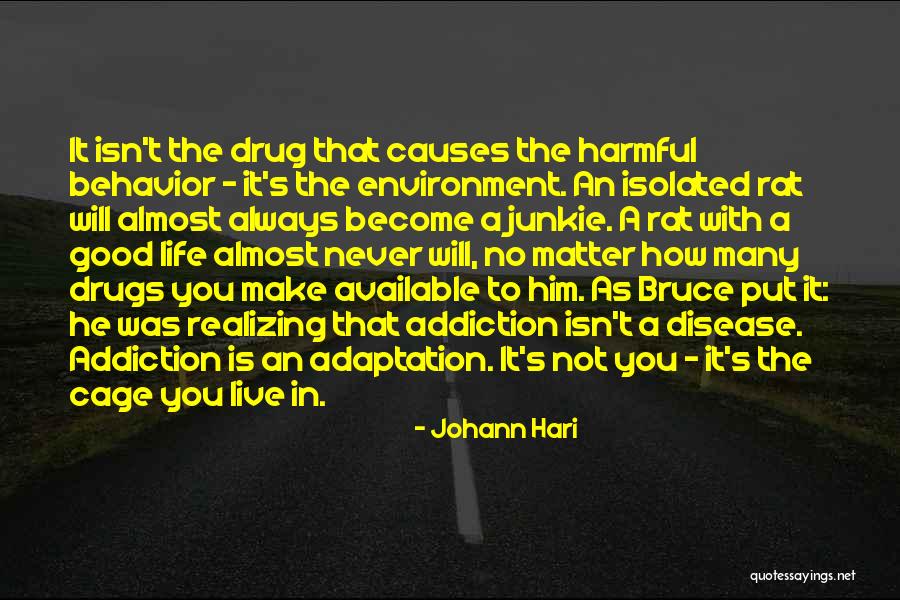 Johann Hari Quotes 908228 Johann Hari Quotes 908228