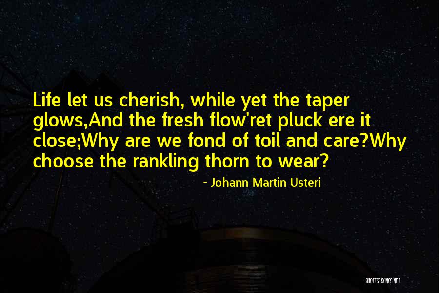 Johann Martin Usteri Quotes 1494970