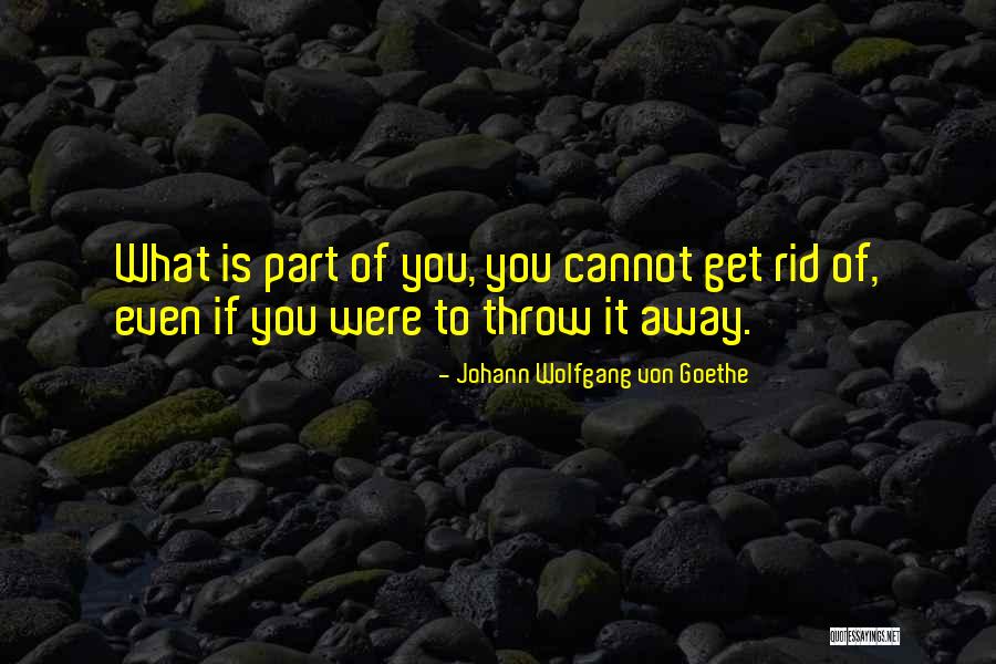 Johann Von Goethe Quotes By Johann Wolfgang Von Goethe Johann Von Goethe Quotes By Johann Wolfgang Von Goethe
