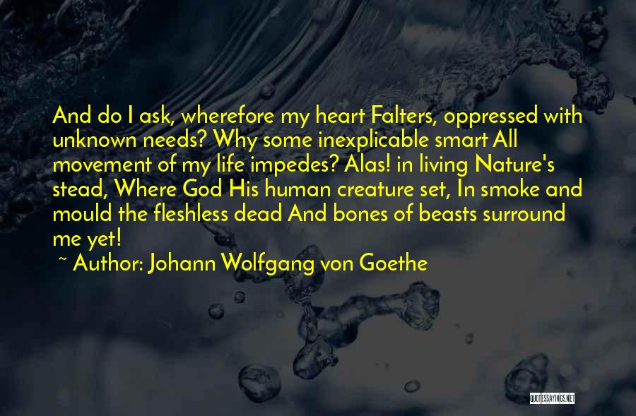 Johann Wolfgang Von Goethe Quotes 1645497