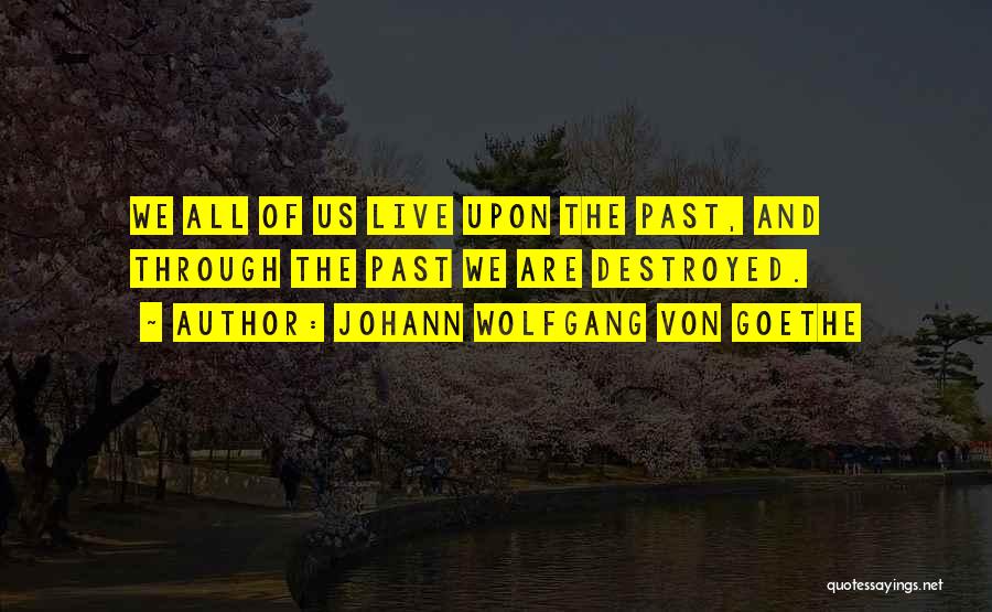 Johann Wolfgang Von Goethe Quotes 1862293